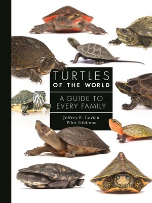 cover image of Turtles of the World